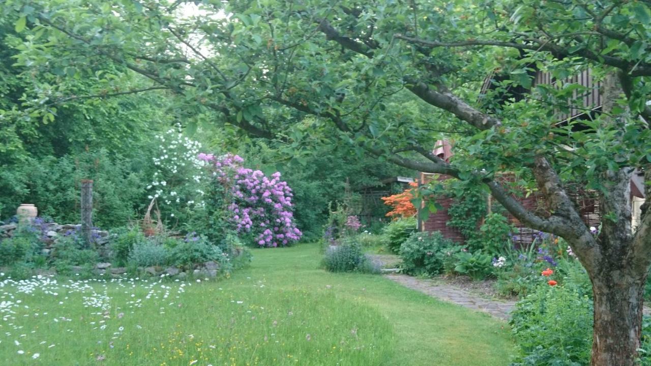 Landhaus Bernecker, Bay.W. Rinchnach Eksteriør bilde